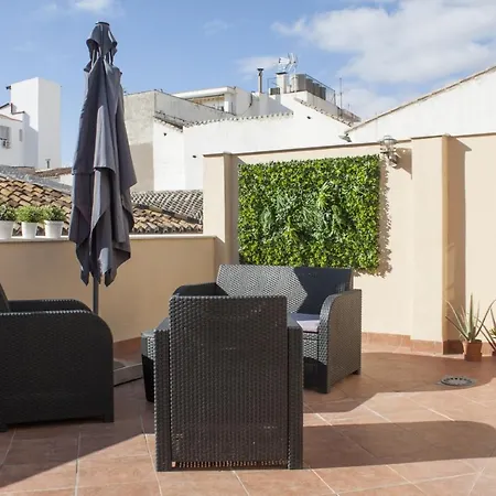 Loft In City Center * Málaga